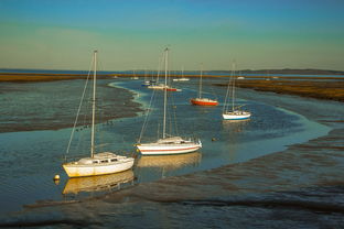 开yun官网-兴隆湖上演“国际艇战”，多国精英争锋