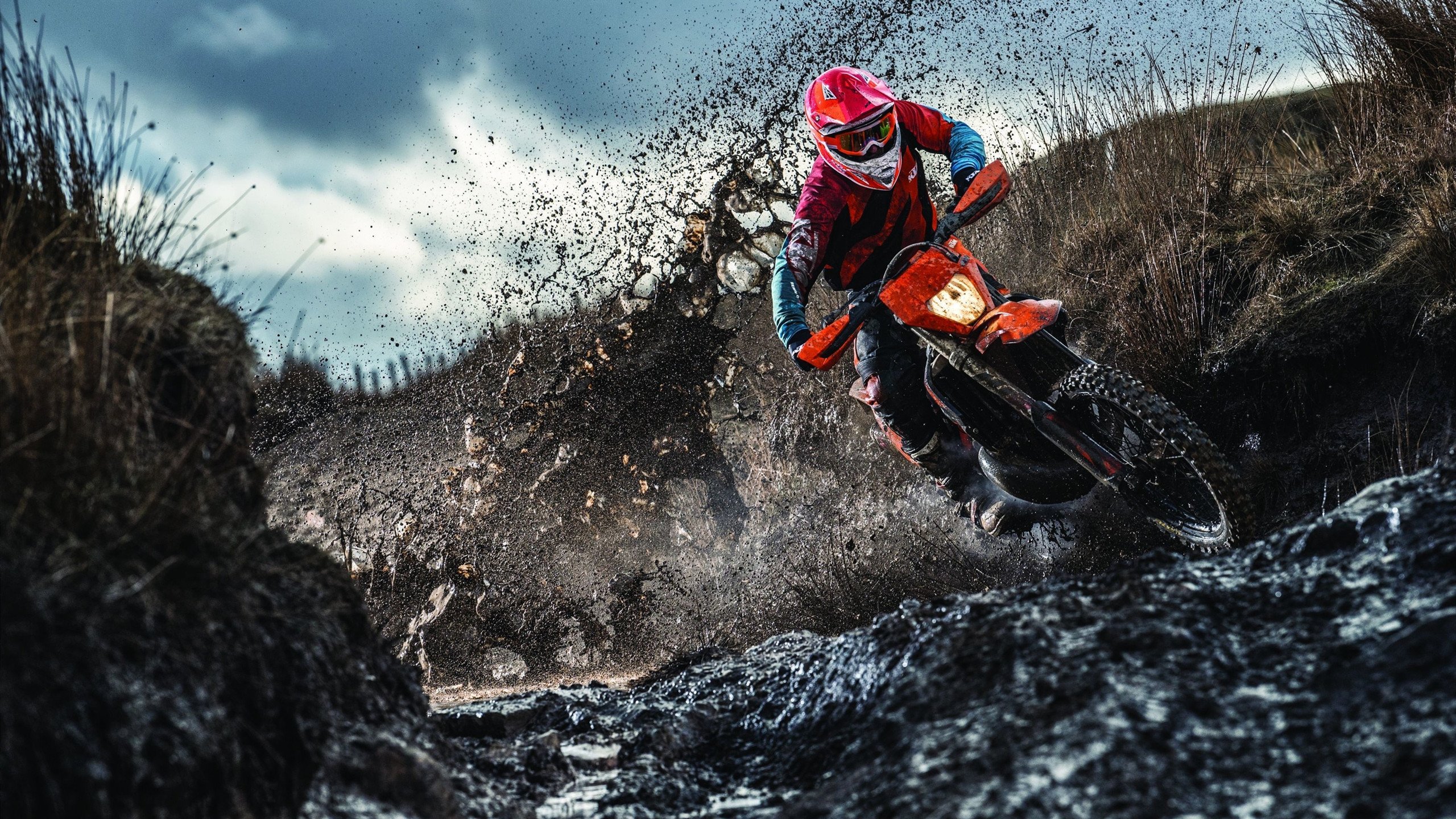 浙江雄狮攻守平衡成为稳定竞争者，宁波雄狮